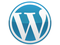 wordpress development in delhi